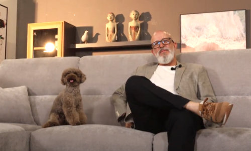 Tapicería higiénica y resistente a mascotas