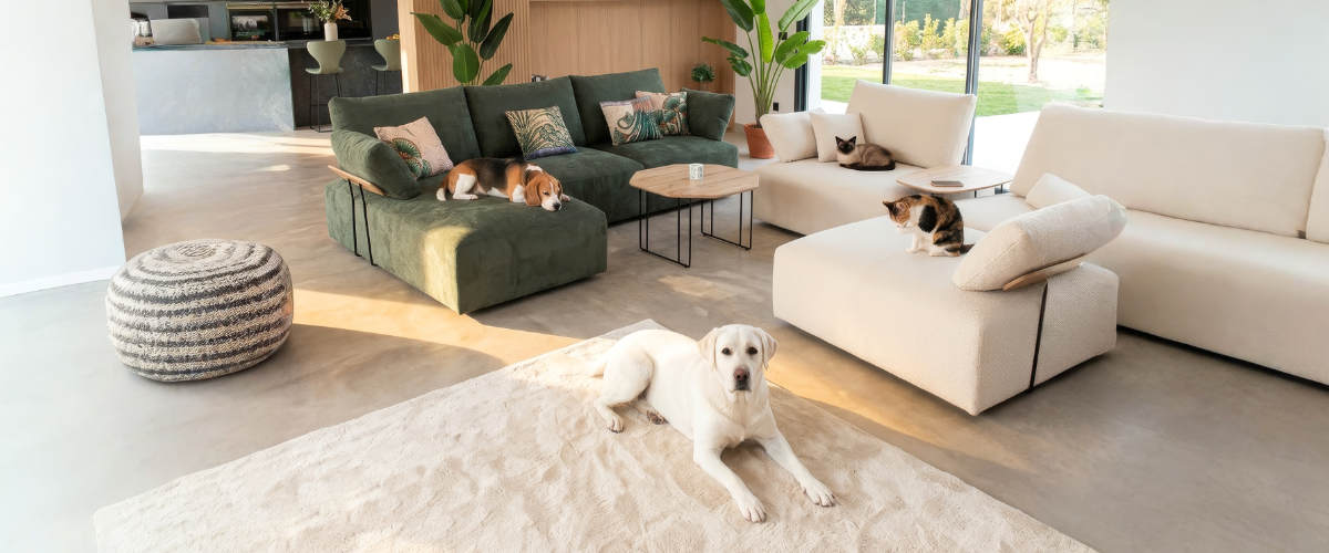 Interiorismo para hogares con mascotas