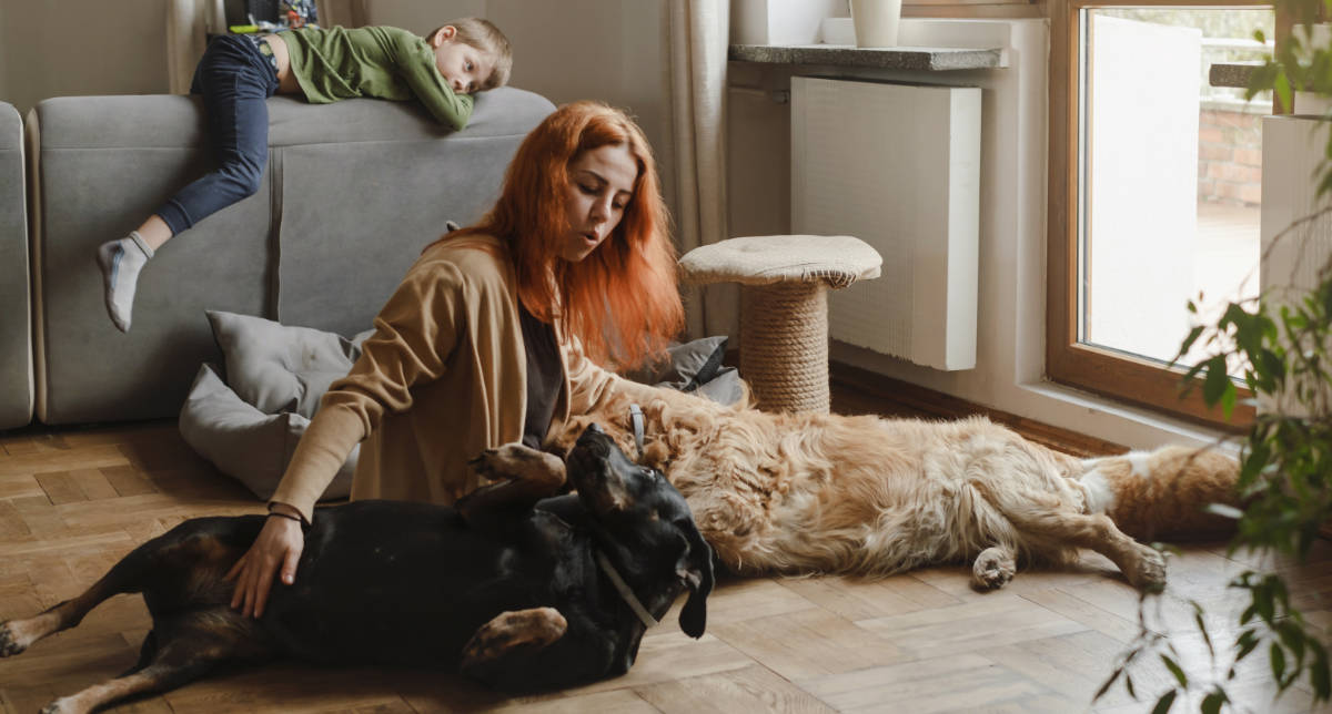 Familia con mascotas Interiorismo pensado para la vida con mascotas