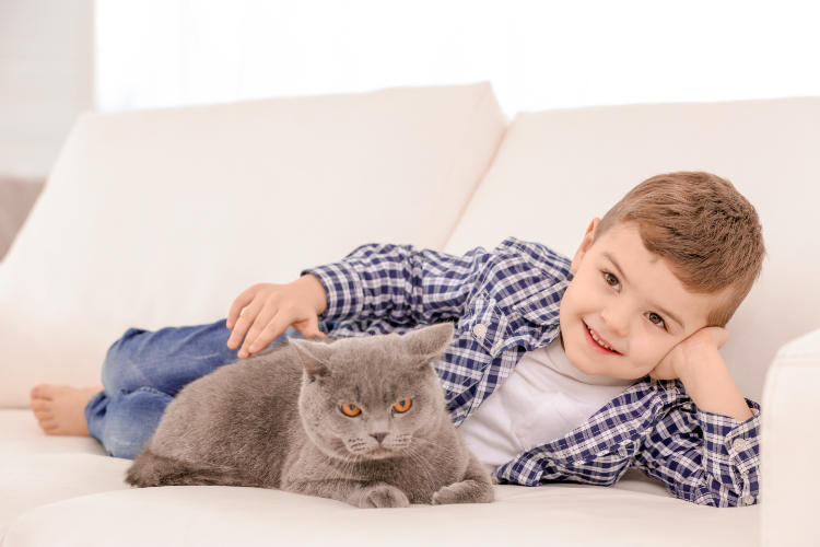 Hogares preparados para convivir con mascotas