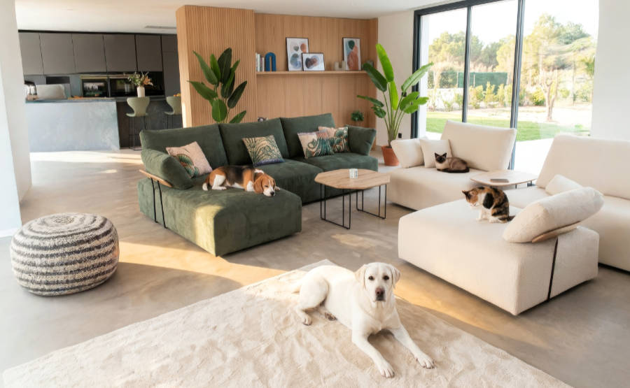interiorismo con mascotas Confort y seguridad para personas y mascotas
